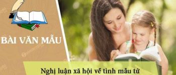 Nghị luận xã hội về tình mẫu tử ngắn gọn, hay nhất (35 Mẫu)