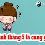 Người Sinh Tháng 5 Là Cung Hoàng Đạo Gì? Giải Mã Vận Mệnh Tính Cách