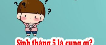 Người Sinh Tháng 5 Là Cung Hoàng Đạo Gì? Giải Mã Vận Mệnh Tính Cách