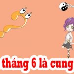 Người Sinh Tháng 6 Là Cung Hoàng Đạo Gì? Giải Mã Vận Mệnh Tính Cách