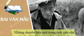 Nhân vật ông Hai gợi cho em suy nghĩ gì về những chuyển biến mới trong tình cảm của người dân Việt Nam thời kì kháng chiến chống Pháp?