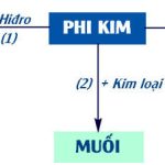 Ôn tập về Phi kim, Sơ lược bảng tuần hoàn nguyên tố hóa học và bài tập luyện tập – Hóa 9 bài 32