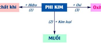 Ôn tập về Phi kim, Sơ lược bảng tuần hoàn nguyên tố hóa học và bài tập luyện tập – Hóa 9 bài 32