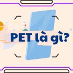 Pet Là Gì? Top 6 Loại Pet Nuôi Trong Nhà Được Yêu Thích Nhất Hiện Nay