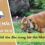 Phân tích 2 khổ thơ đầu trong bài thơ Nhớ rừng