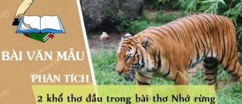 Phân tích 2 khổ thơ đầu trong bài thơ Nhớ rừng