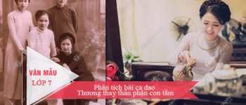 Phân tích bài ca dao Thương thay thân phận con tằm