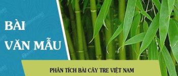 Phân tích bài Cây tre Việt Nam