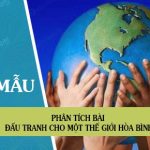 Phân tích bài Đấu tranh cho một thế giới hòa bình