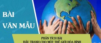 Phân tích bài Đấu tranh cho một thế giới hòa bình