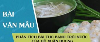 Phân tích bài thơ Bánh trôi nước của Hồ Xuân Hương