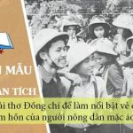 Phân tích bài thơ Đồng chí để làm nổi bật vẻ đẹp tâm hồn của người nông dân mặc áo lính