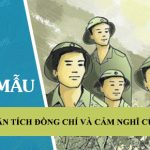 Phân tích bài thơ Đồng chí và nói lên cảm nghĩ của em