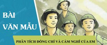 Phân tích bài thơ Đồng chí và nói lên cảm nghĩ của em