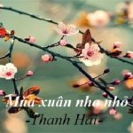 Phân tích bài thơ Mùa xuân nho nhỏ của Thanh Hải lớp 9 hay nhất (16 Mẫu)