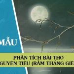 Phân tích bài thơ Nguyên tiêu (Rằm tháng giêng)