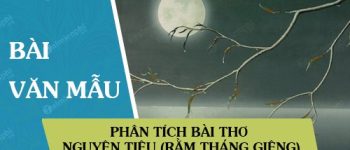 Phân tích bài thơ Nguyên tiêu (Rằm tháng giêng)