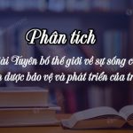 Phân tích bài Tuyên bố thế giới về sự sống còn, quyền được bảo vệ và phát triển của trẻ em