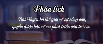 Phân tích bài Tuyên bố thế giới về sự sống còn, quyền được bảo vệ và phát triển của trẻ em