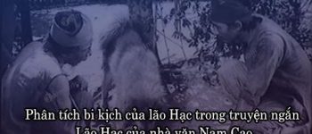 Phân tích bi kịch của lão Hạc trong truyện ngắn Lão Hạc của nhà văn Nam Cao