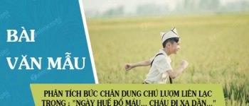 Phân tích bức chân dung chú Lượm liên lạc trong đoạn thơ “Ngày Huế đổ máu…Cháu đi xa dần…”