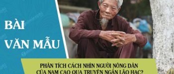 Phân tích cách nhìn người nông dân của Nam Cao qua truyện ngắn Lão Hạc?