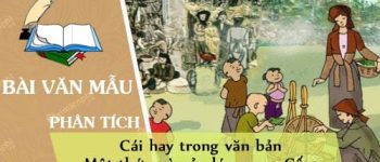 Phân tích cái hay trong văn bản Một thứ quà của lúa non – Cốm