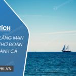 Phân tích cảm hứng lãng mạn trong bài thơ Đoàn thuyền đánh cá