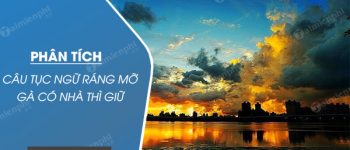 Phân tích câu tục ngữ Ráng mỡ gà có nhà thì giữ