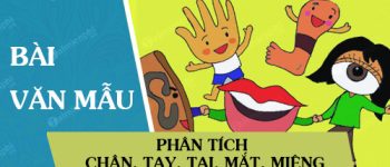 Phân tích Chân, Tay, Tai, Mắt, Miệng