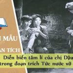 Phân tích diễn biến tâm lí của chị Dậu trong đoạn trích Tức nước vỡ bờ