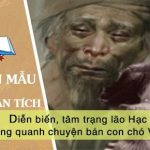 Phân tích diễn biến, tâm trạng lão Hạc xung quanh chuyện bán con chó Vàng