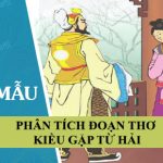 Phân tích đoạn thơ Kiều gặp Từ Hải