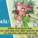 Phân tích đoạn thơ Lục Vân Tiên cứu Kiều Nguyệt Nga và nói lên cảm nghĩ của em