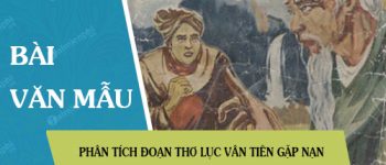 Phân tích đoạn thơ Lục Vân Tiên gặp nạn