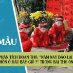 Phân tích đoạn thơ: “Năm nay đào lại nở… Hồn ở đâu bây giờ ?” trong bài thơ Ông đồ