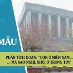 Phân tích đoạn thơ sau: Con ở miền Nam ra thăm lăng Bác… Mà sao nghe nhói ở trong tim