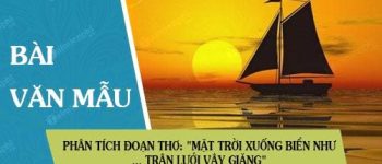 Phân tích đoạn thơ trong Đoàn thuyền đánh cá: “Mặt trời xuống biển như… trận lưới vây giăng”