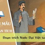 Phân tích đoạn trích Nước Đại Việt ta