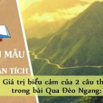 Phân tích giá trị biểu cảm của 2 câu thơ trong bài Qua Đèo Ngang: