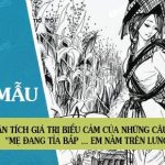 Phân tích giá trị biểu cảm của những câu thơ sau: Mẹ đang tỉa bắp … em nằm trên lưng