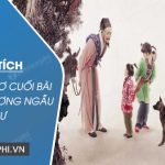 Phân tích hai câu thơ cuối bài thơ Hồi hương ngẫu thư