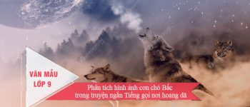 Phân tích hình ảnh con chó Bấc trong truyện ngắn Tiếng gọi nơi hoang dã