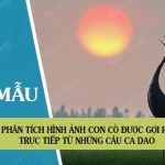 Phân tích hình ảnh con cò được gợi ra trực tiếp từ những câu ca dao và đến với tâm hồn tuổi ấu thơ một cách vô thức