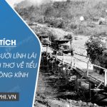 Phân tích hình ảnh người lính lái xe trong Bài thơ về tiểu đội xe không kính