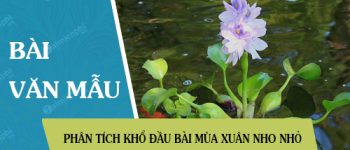 Phân tích khổ đầu bài Mùa xuân nho nhỏ