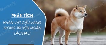 Phân tích nhân vật Cậu Vàng trong truyện ngắn Lão Hạc