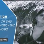 Phân tích nhân vật chị Dậu trong đoạn trích Tức nước vỡ bờ