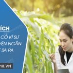 Phân tích nhân vật cô kĩ sư trong truyện ngắn Lặng lẽ Sa Pa