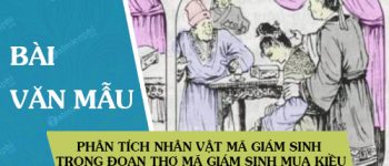 Phân tích nhân vật Mã Giám Sinh trong đoạn thơ Mã Giám Sinh mua Kiều